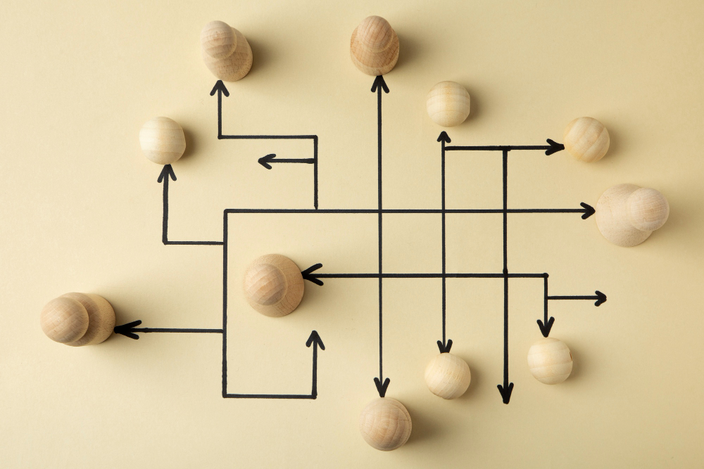entreprise sans organigramme