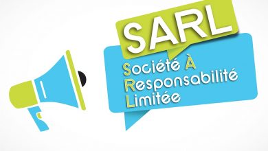 Statut du gérant de SARL  2017