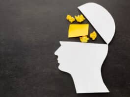 les biais cognitifs