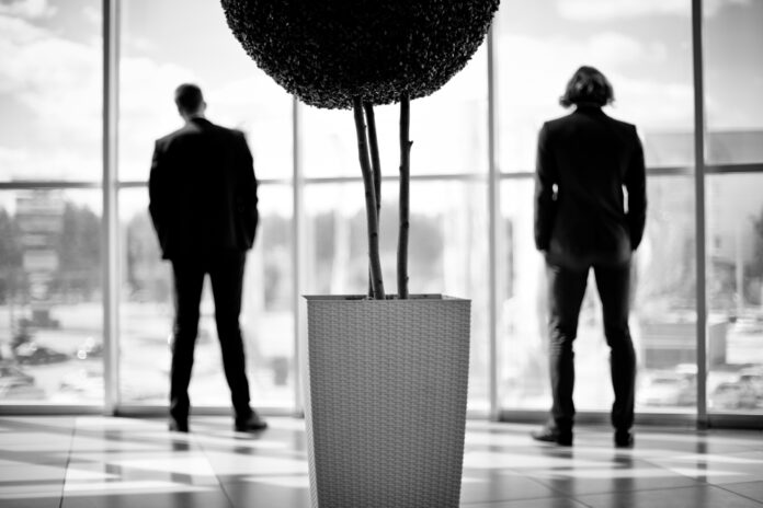 minimalistes minimalistes