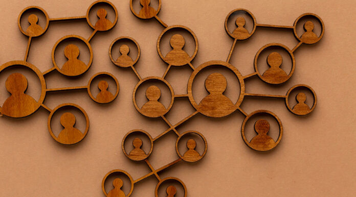 organisations “mycéliennes