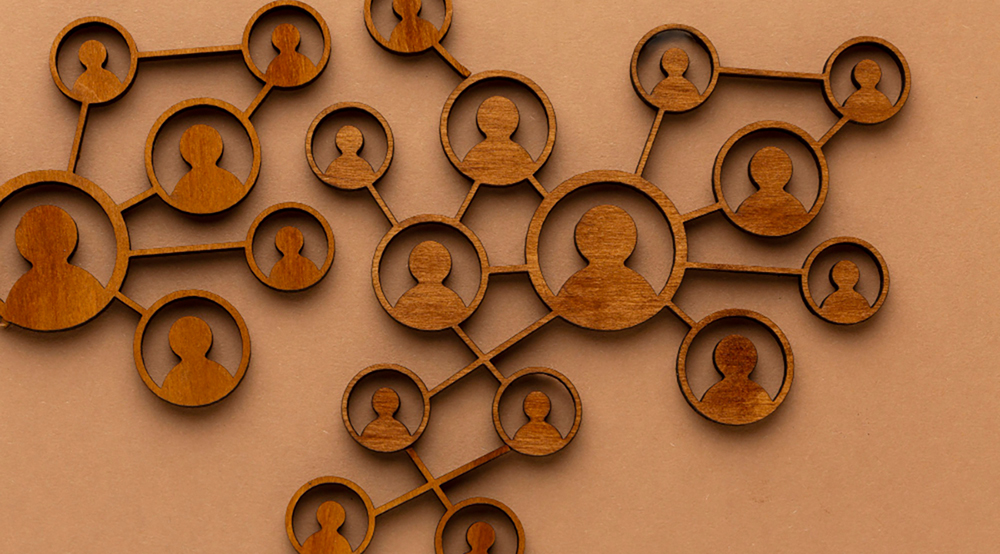 organisations “mycéliennes