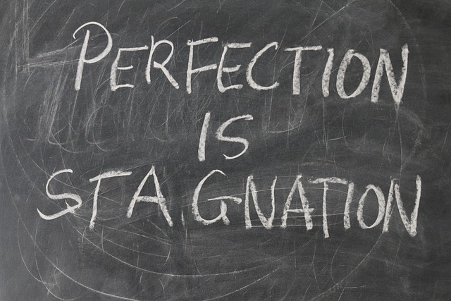 perfectionniste