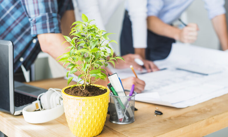 plantes en entreprise