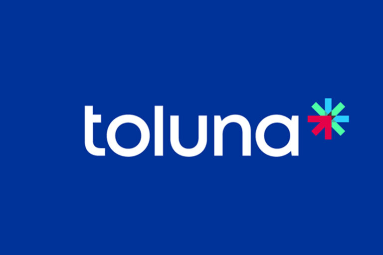 Zoom sur les sondages en ligne de Toluna